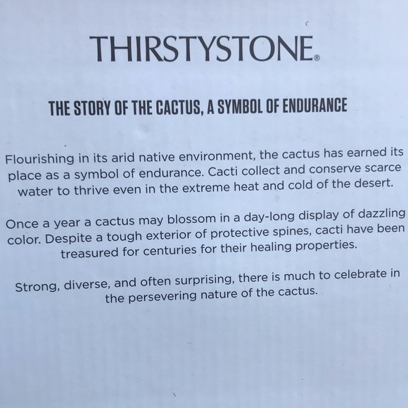 🌵 🍍24 oz Stainless/gold tone cactus tumbler - Picture 10 of 13